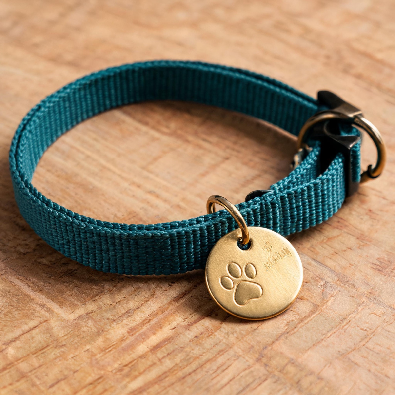A teal nylon collar with a polished round brass ID tag on a wooden surface.